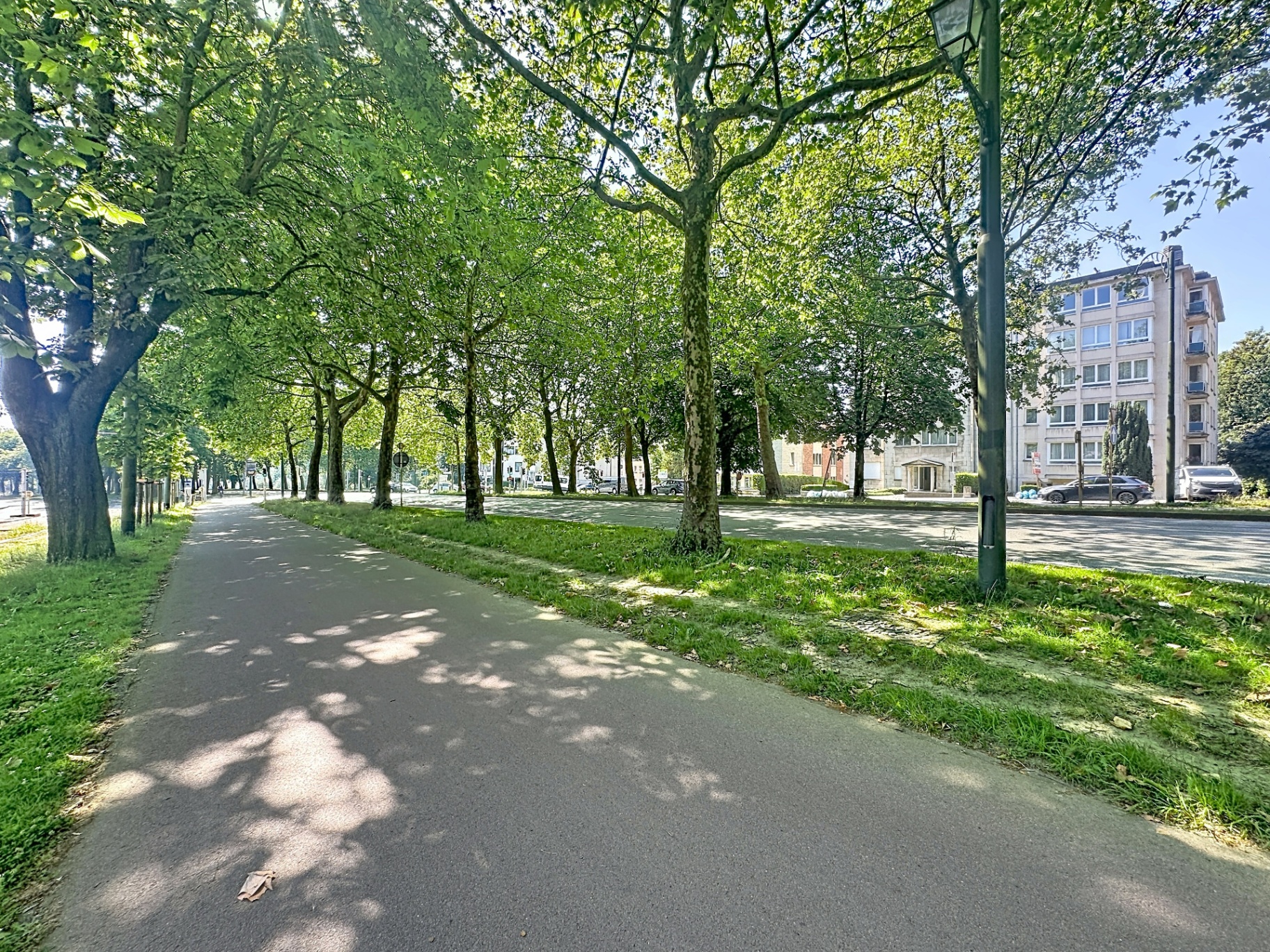 L'avenue de Tervueren à Woluwe-Saint-Pierre