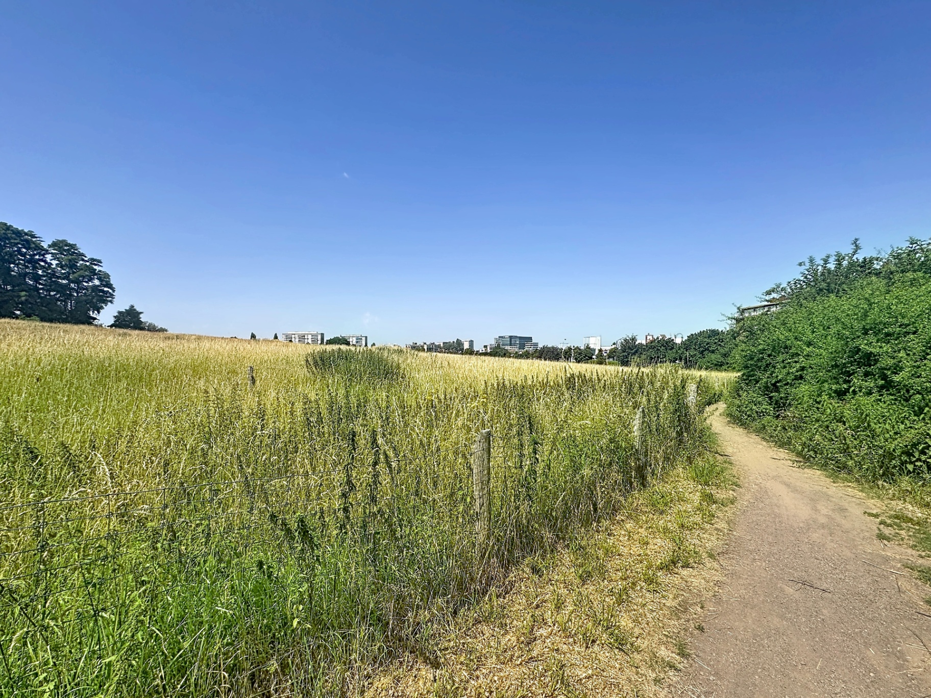 La zone verte du Zavelenberg à Berchem-Sainte-Agathe