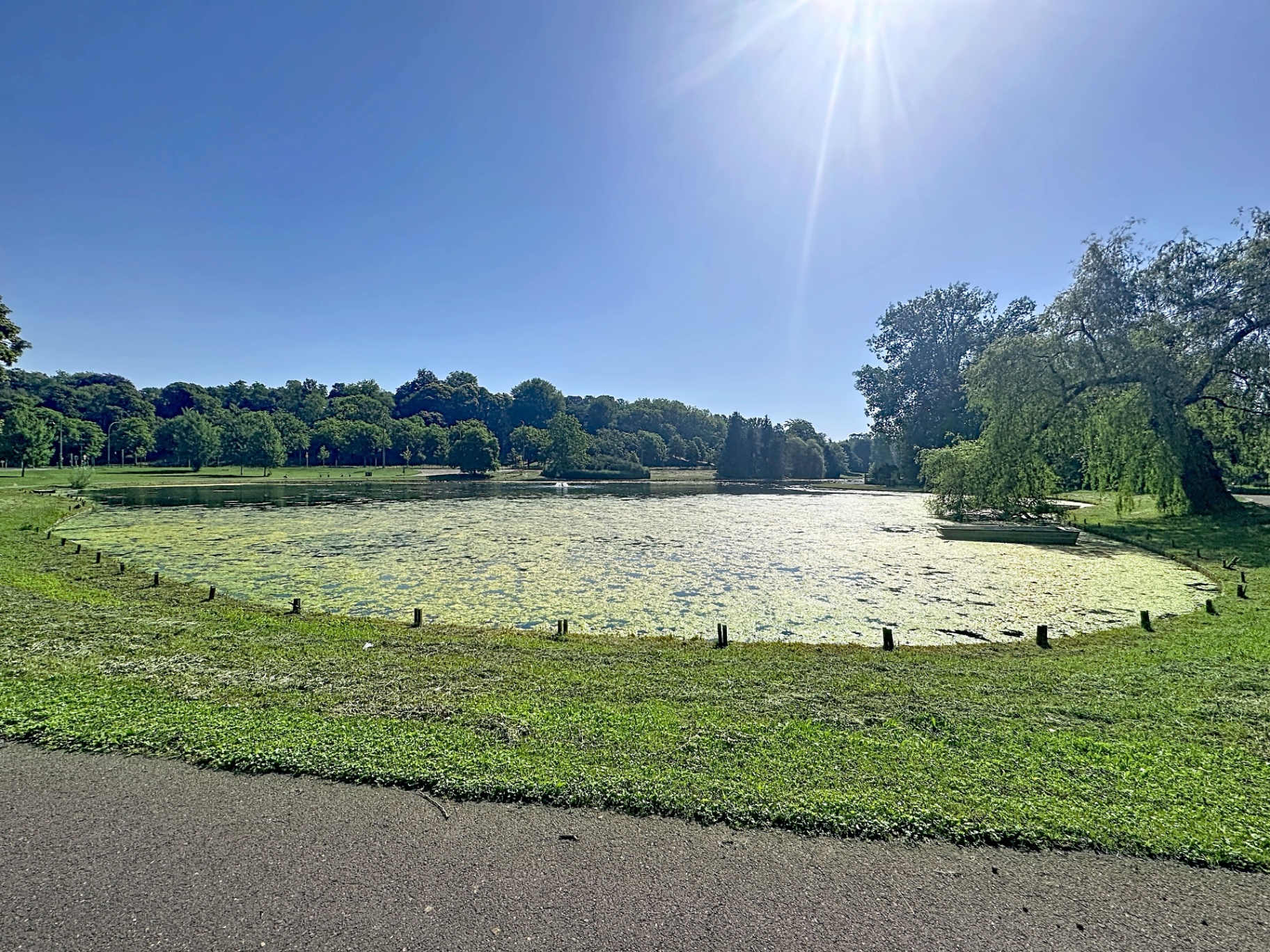 Étang à Woluwe-Saint-Pierre