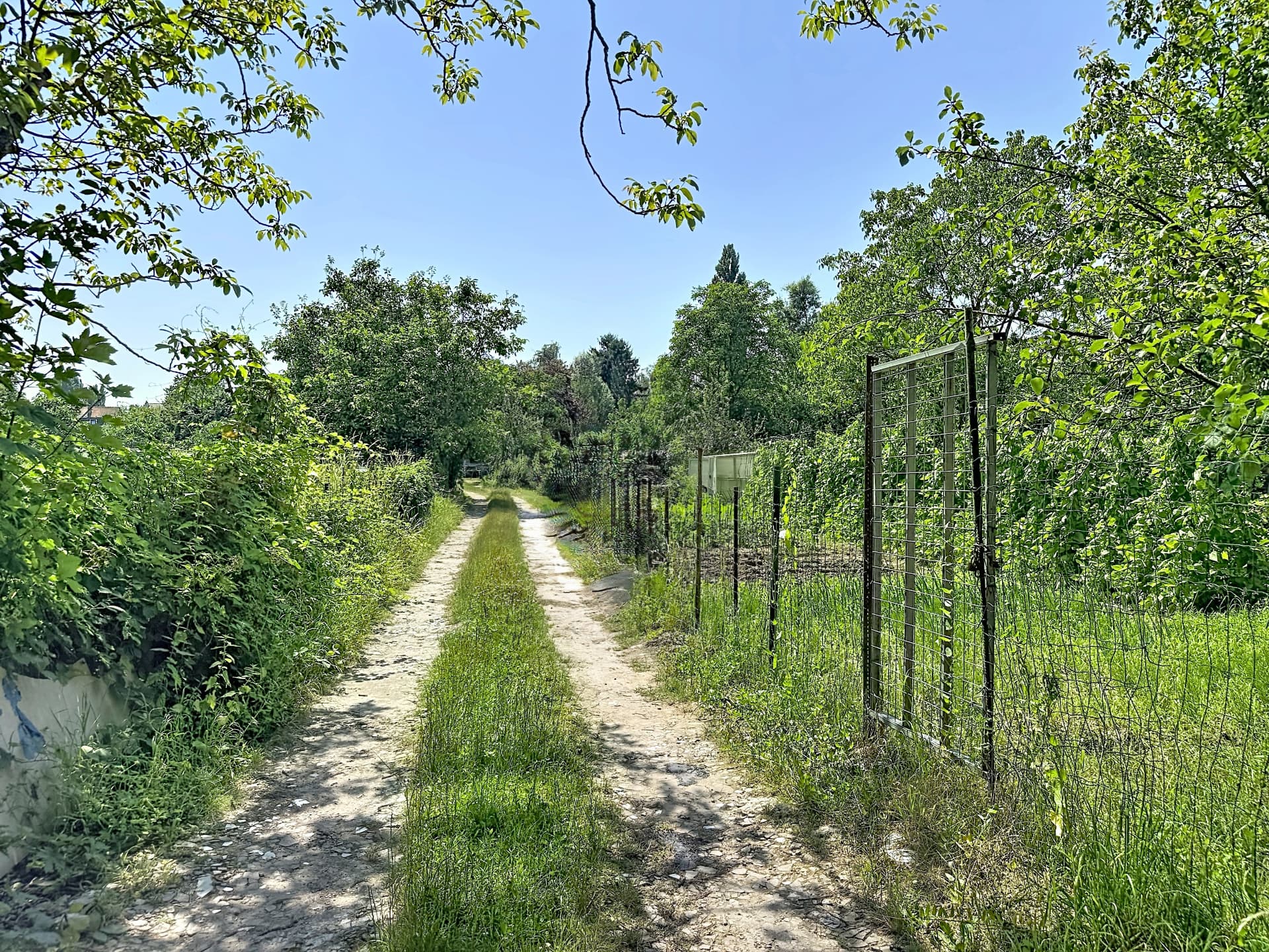 Chemin de terre bordé de verdure et de potagers à Neder-Over-Heembeek