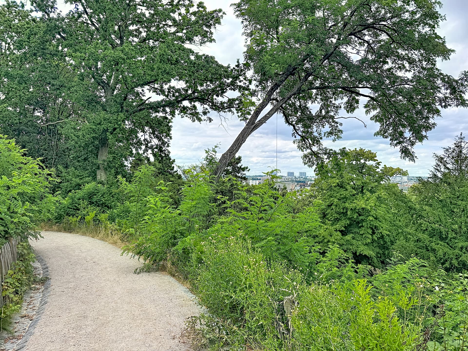 Sentier ombragé à flanc de coteau dans les parcs de Forest, avec vue dégagée sur la ville en contrebas