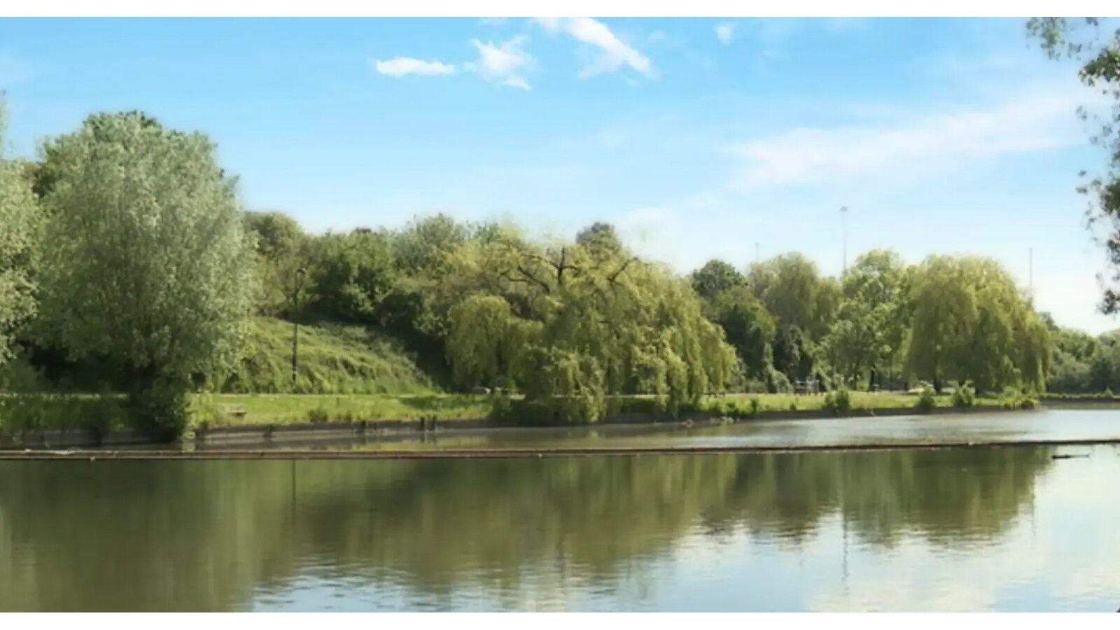 Étang bordé de saules et de verdure dans le quartier rural de Neerpede à Anderlecht