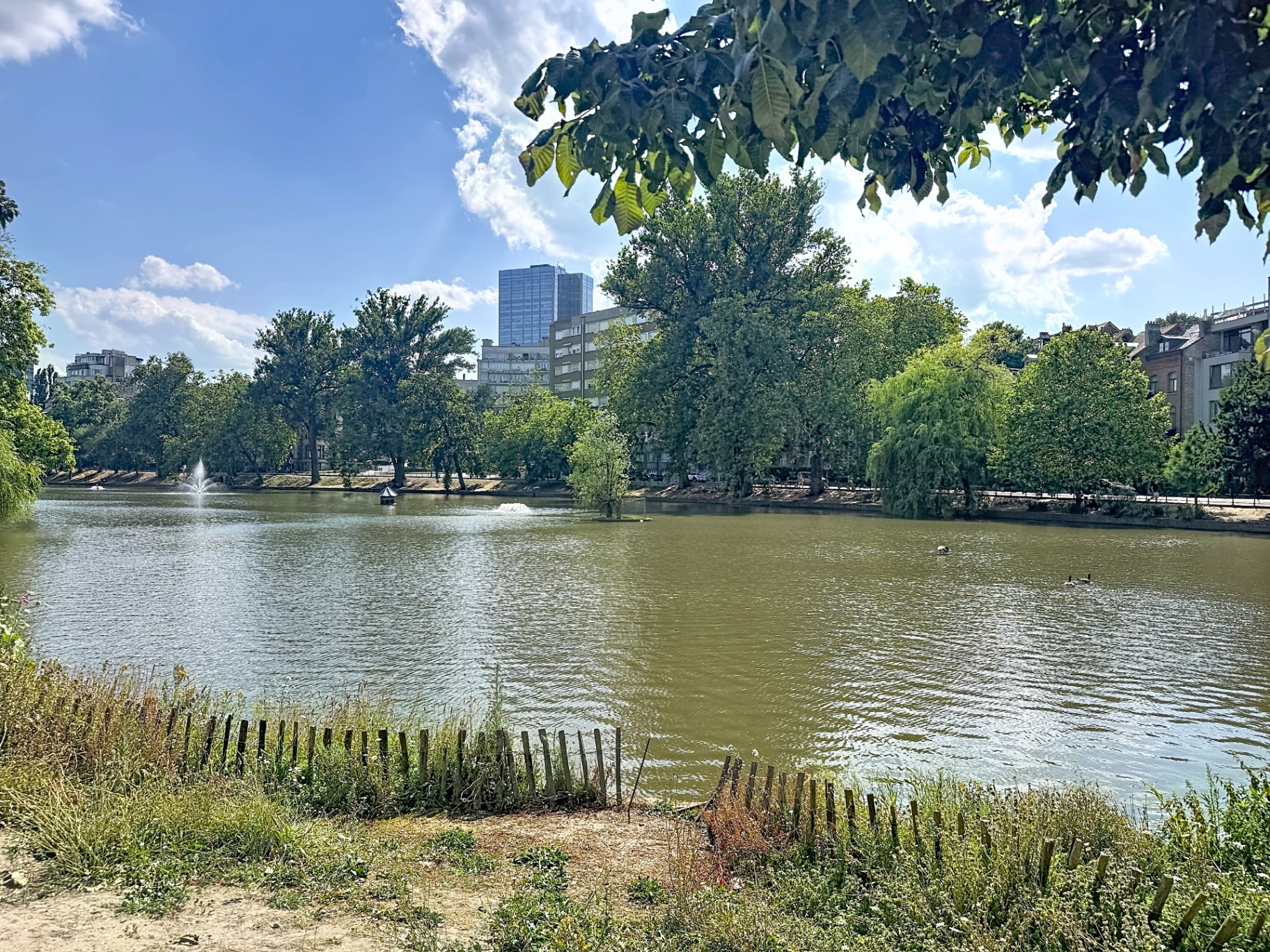 Les berges des étangs d'Ixelles